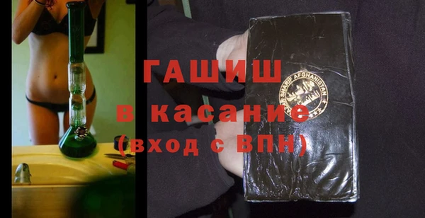 стафф Касимов