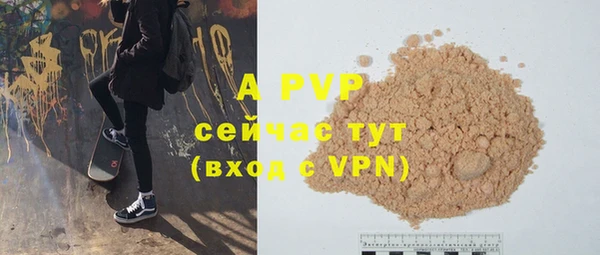 a pvp Болотное