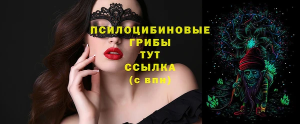 спайс Карпинск