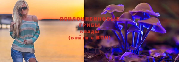дурь Карталы