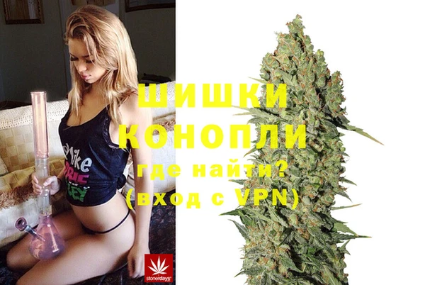 стафф Касимов
