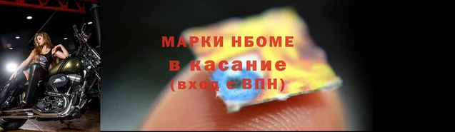 стафф Касимов