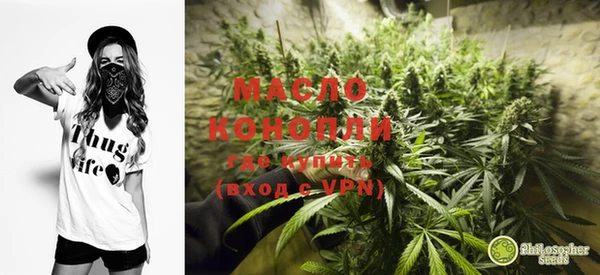 стафф Касимов