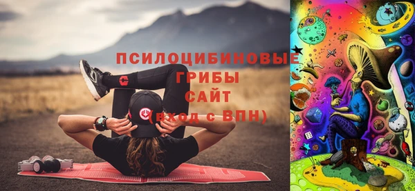 спайс Карпинск