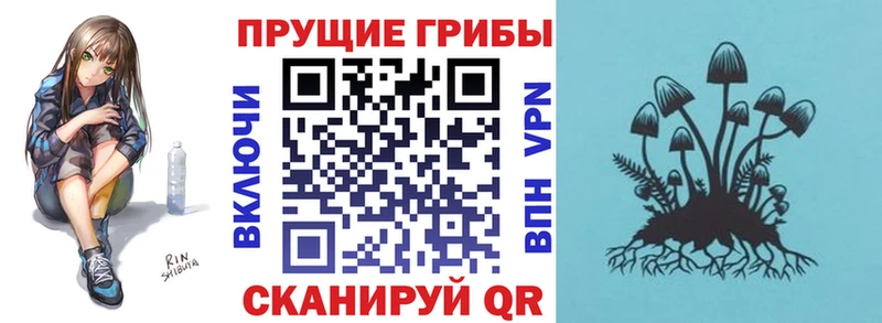 хочу наркоту  Краснокамск  Псилоцибиновые грибы мицелий 