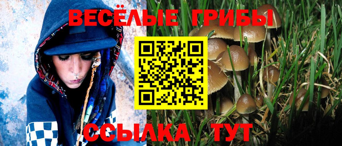 Псилоцибиновые грибы Psilocybe  Галлюциногенные грибы Cubensis  Вход с VPN  Краснокамск 