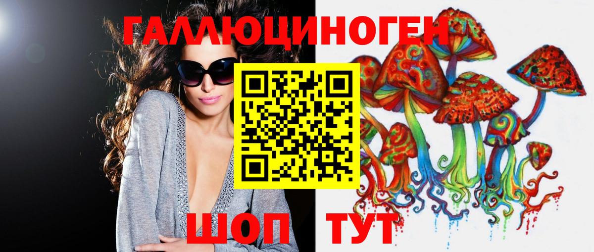 Галлюциногенные грибы Psilocybe Краснокамск